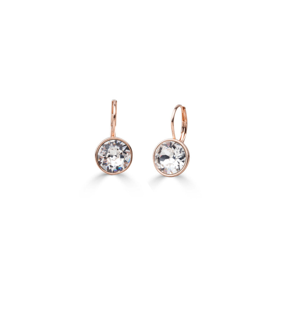 Rose Gold Petite Glam Rock Drop Earrings (E2838)

• Miglio Rose Gold
•10mm brilliant-cut Swarovski® crystal
• lever back clasp fastening